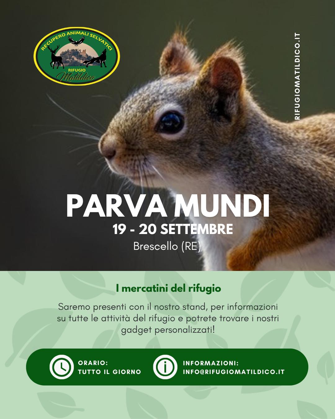 20260919 - Parva Mundi