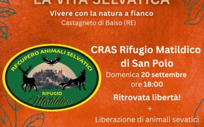 “Ritrovata libertà”: liberazione a Castagneto di Baiso