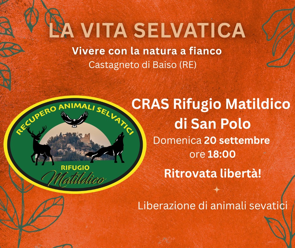 20260920_Instagram_La vita selvatica