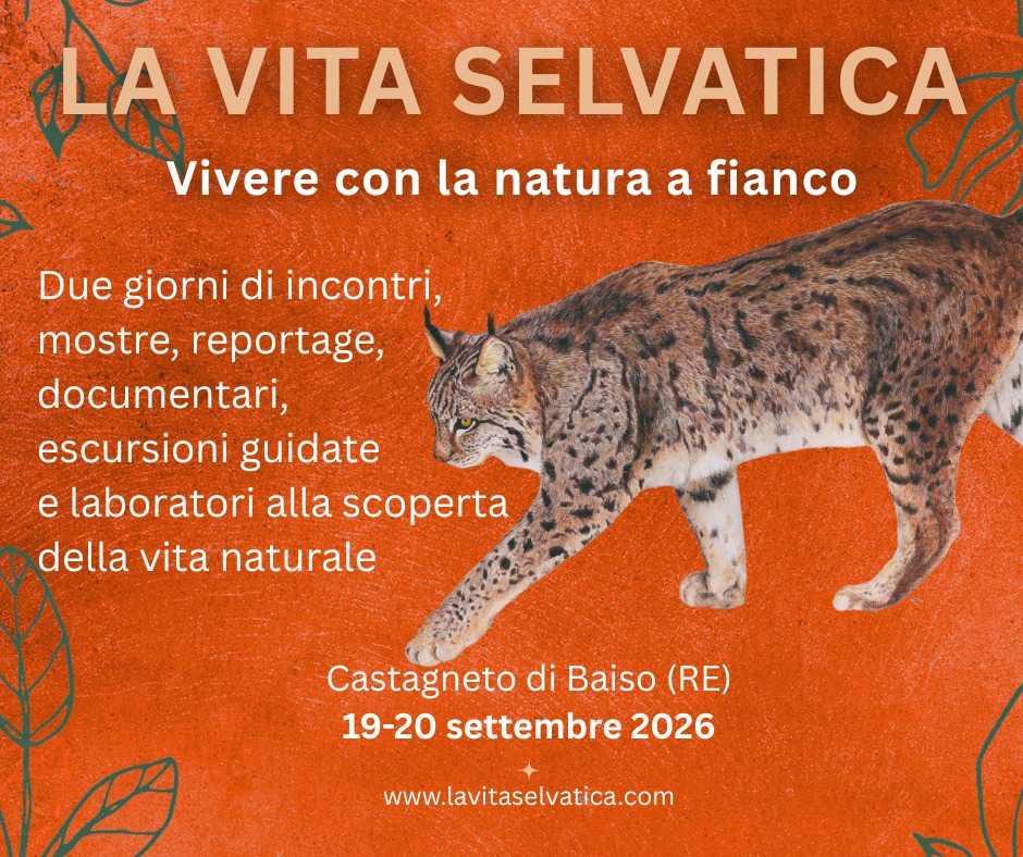 Instagram_La vita selvatica (1)