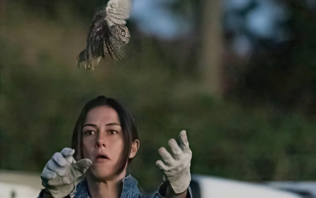 LA NOTTE DEGLI ASSIOLI: UN SALUTO PRIMA DEL GRANDE VIAGGIO