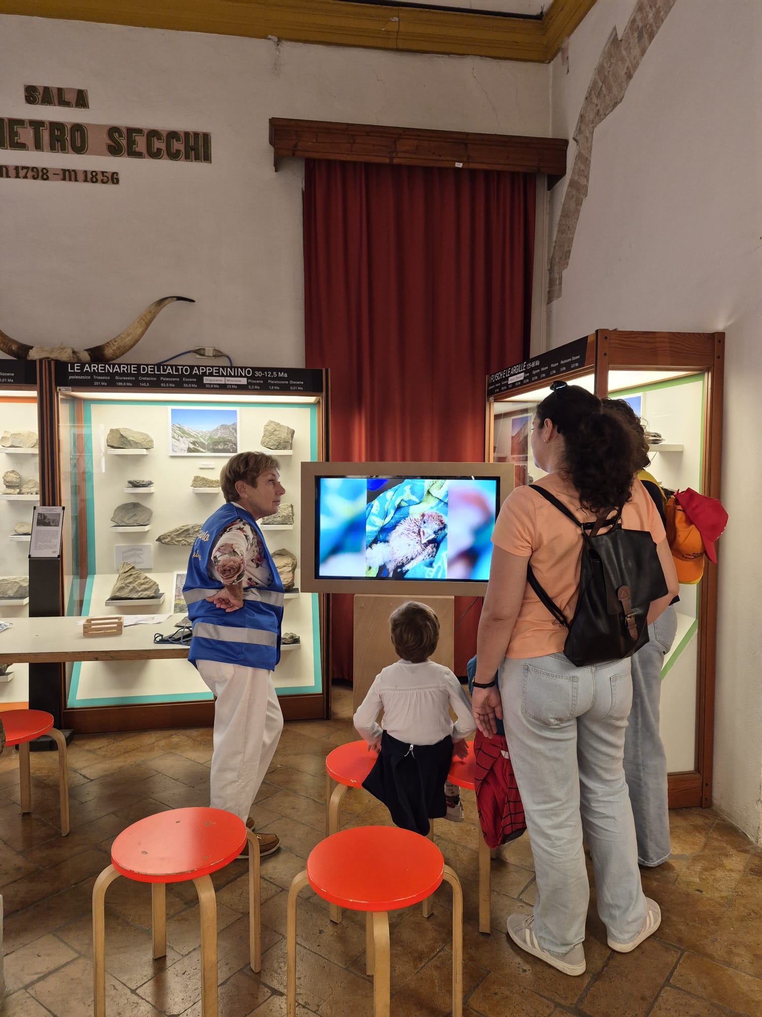 20261011 Musei civici Reggio (2)