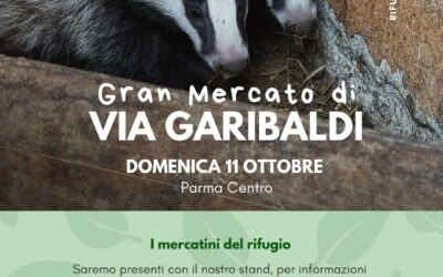Stand CRAS al “Gran Mercato di VIA GARIBALDI” a Parma Cantro