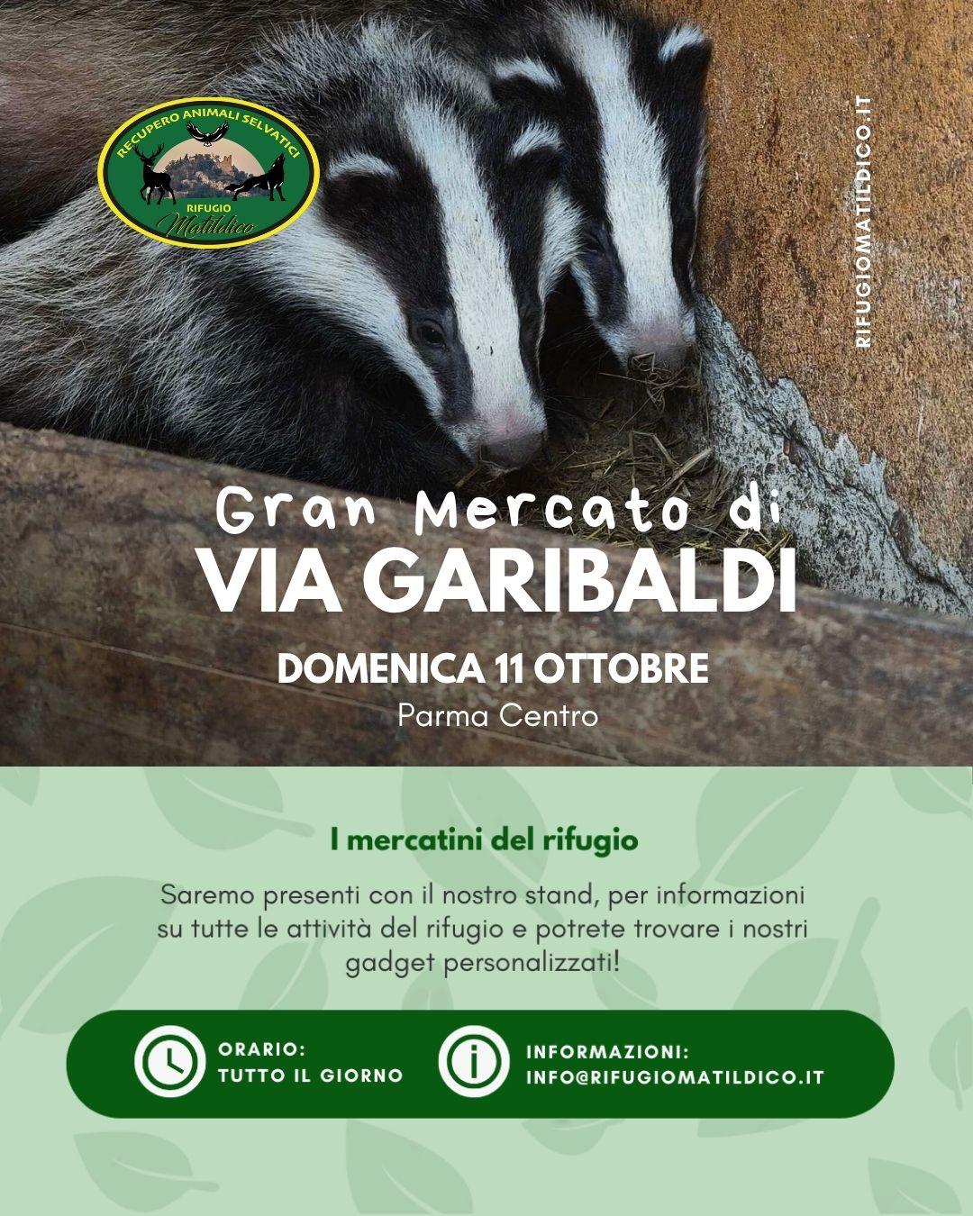 20261011 - Parma