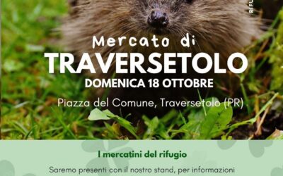 Stand CRAS al “Mercato di Traversetolo”