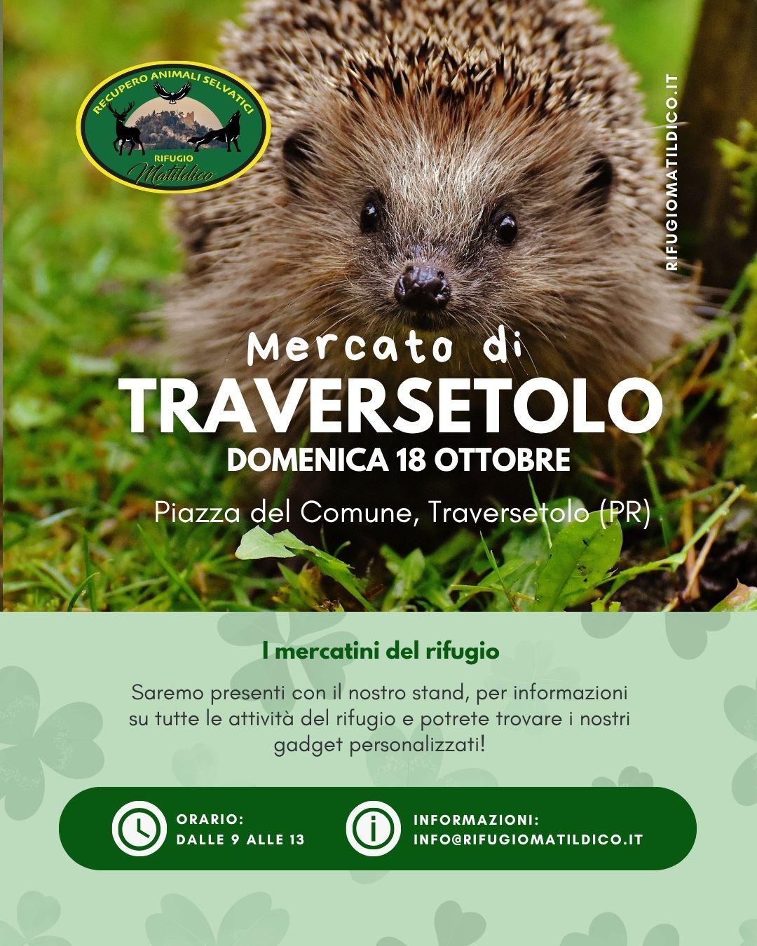 20261018 - Traversetolo
