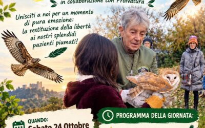 Il ritorno al cielo: giornata di liberazione dei rapaci